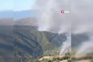 Çeşme’de orman yangınları devam ediyor