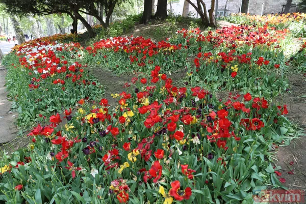 İstanbul Gülhane Parkı 10 katı ziyaretçi ağırladı! Laleler talan edildi - 2