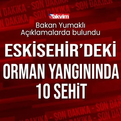 Eskişehir’de yangın faciasında kahreden haber! 10 orman işçisi şehit oldu | Başkan Erdoğan'dan taziye mesajı