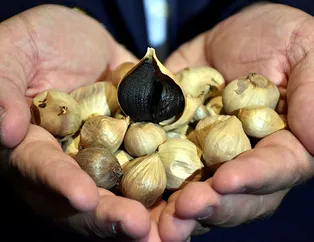 25 liralık sarımsağı siyaha çevirdi! 2 bin eurodan sattı