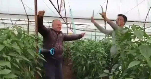 Biber fiyatları yükseldi! Üretici çiftetelli oynadı