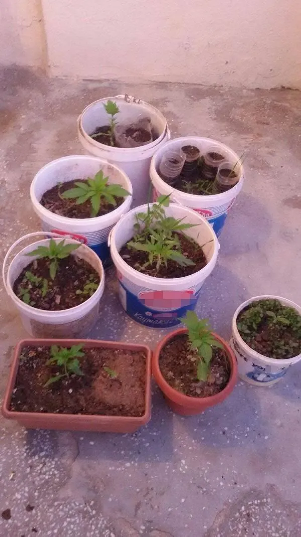 Eylem hazırlığındaki 12 teröriste operasyon-1
