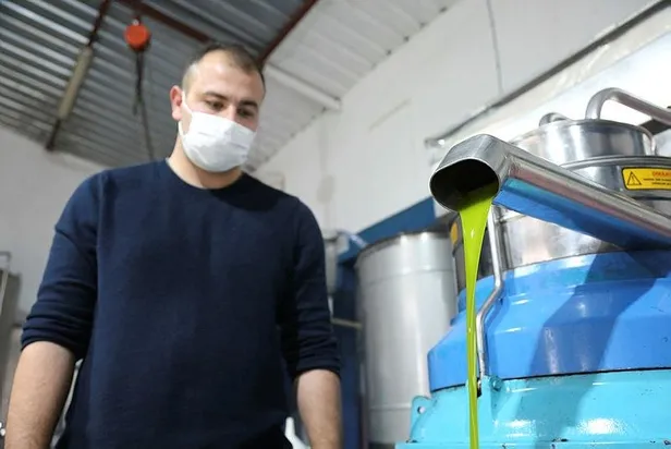 Yağı 250 çekirdeği 2,5 lira! Yeşil elmas olarak bilinen avokadonun yağına yoğun talep-3