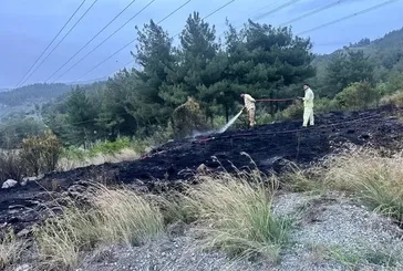 Hatay’da orman yangını!