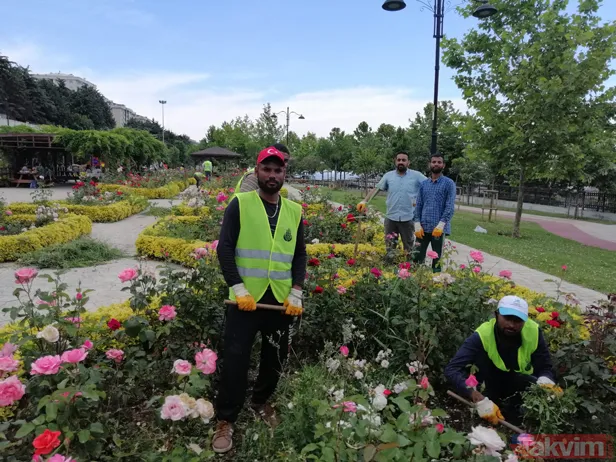 İstanbul Büyükşehir Belediyesi kaçak ve sigortasız işçi çalıştırıyor