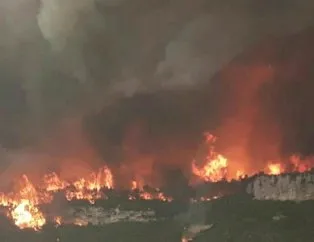 PKK Hatay’da ormanları yaktı!