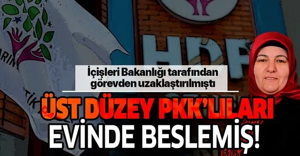 İşte kirli iş birliği! Görevden alınan HDP’li başkan Yıldız Çetin PKK’lıları evinde beslemiş!