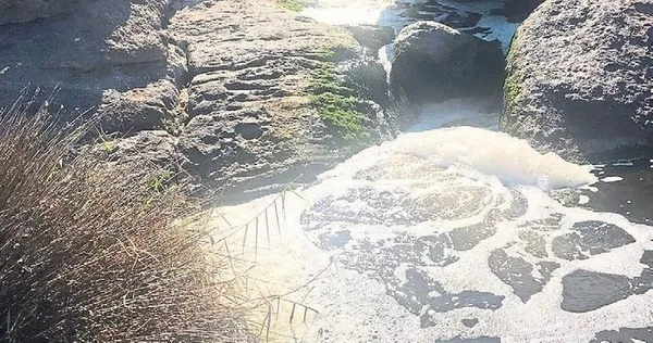 Başkan Erdoğan hassas bölge ilan etmişti! CHP'li belediyeden çevre katliamı!-5