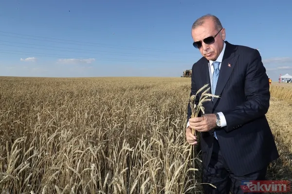 Başkan Erdoğan biçerdöverde buğday hasatı yaptı - 33