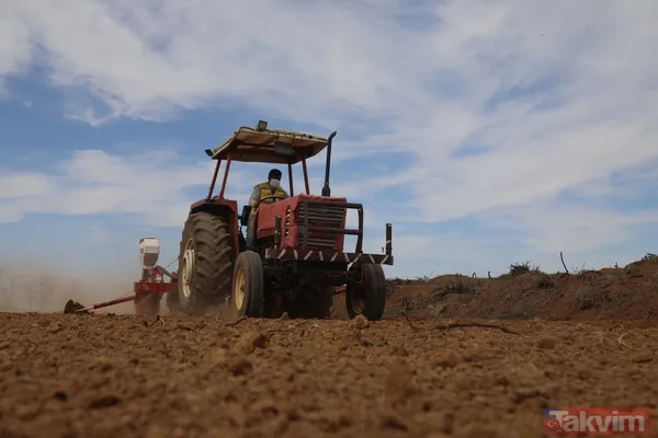 Önemli adım! Şanlıurfa yerli tohumlarla kendi biberini üretiyor - 2