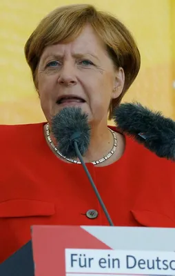 Almanya’dan skandal karar