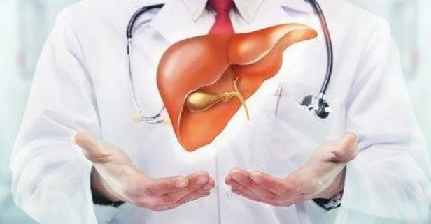 Yanlış beslenme karaciğeri yağlandırıyor! Omega-3 içeren besinler hastalığa derman oluyor