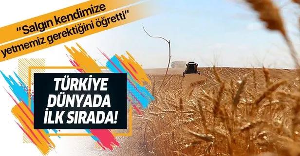 Türkiye’nin 2020 buğday hedefi 20,5 milyon ton! Türkiye dünyada ilk sırada...
