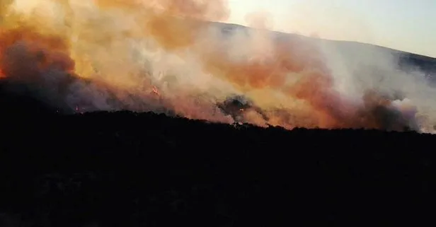 Eskişehir’de orman yangını