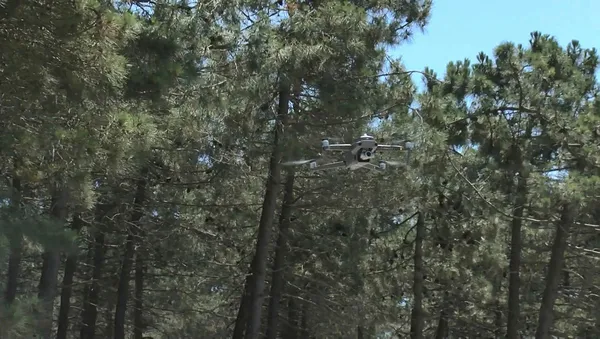 son-dakika-istanbulda-ormanlara-giris-yasagi-vali-yerlikaya-duyurdu-ormanlara-giris-yasagi-31-temmuza-kadar-su-1656863901215.jpg Son dakika: İstanbul'da ormanlara giriş yasağı! Vali Yerlikaya duyurdu: Ormanlara giriş yasağı 31 Temmuz'a kadar sürecek! İşte mangal yapmanın yasak olduğu yerler...-7