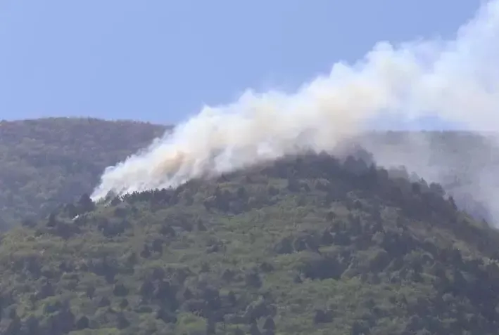 Uludağ eteklerinde yangın