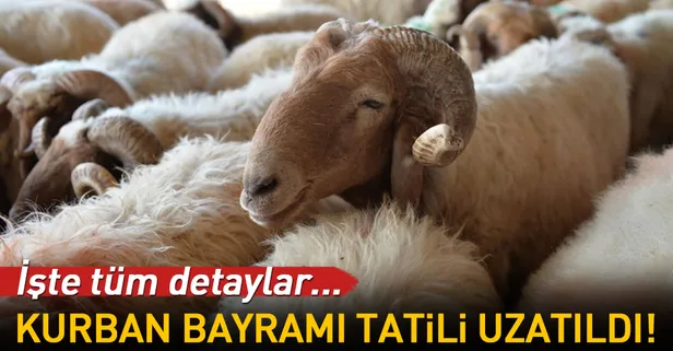 takvim gazetesi