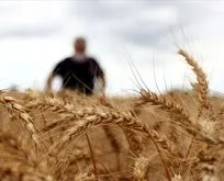 Hindistan’dan buğday ithalatı iddiası yalanlandı!