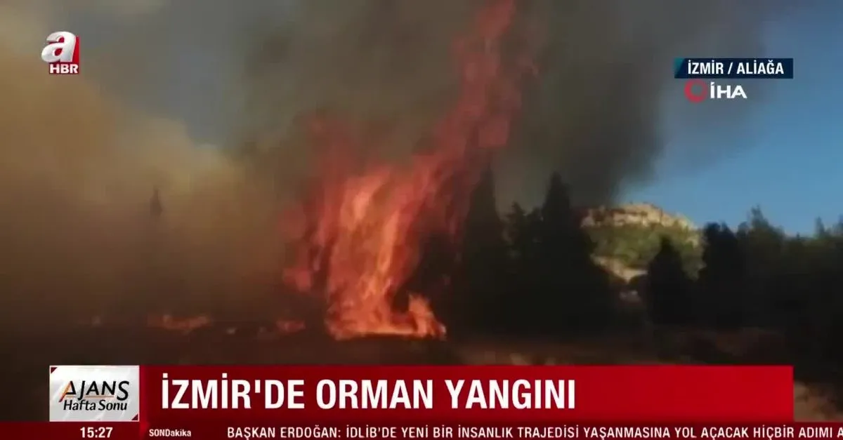 Son Dakika Izmir Aliaga Da Orman Yangini Takvim