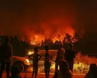 Orman yakan PKK’lılara terörist diyemediler!