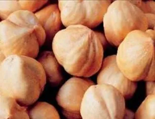 Fındığın Faydaları