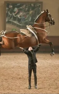 Zamanlaması harika fotoğraflar