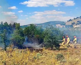 15 dekarlık ormanlık alan küle döndü