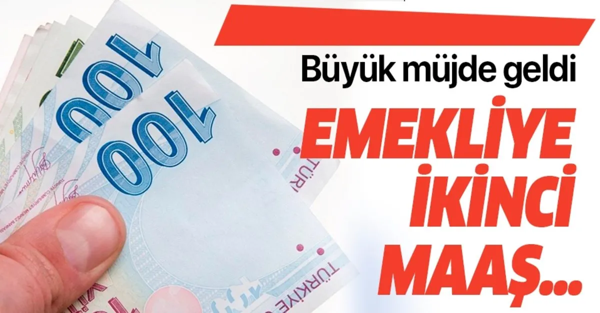 emeklilik sistemi ile emekliye ikinci