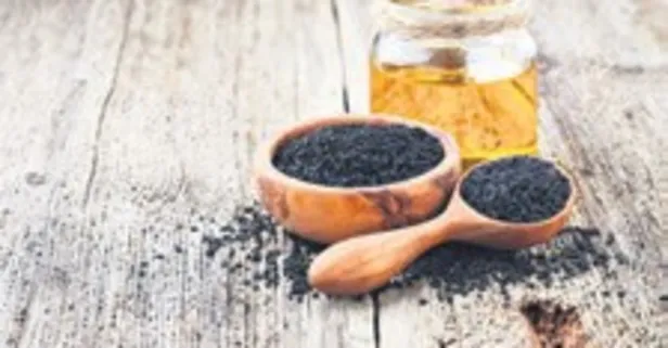 Ağrılara çare çörek otu