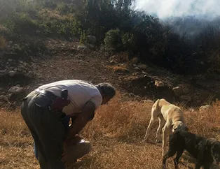Ateşe verdi! Ekipler suçüstü yakaladı
