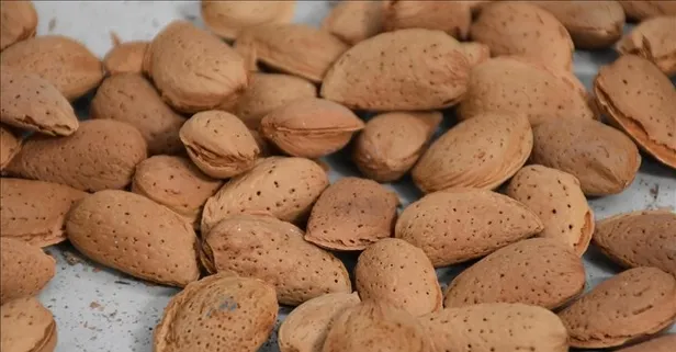 Bademle cildini koru