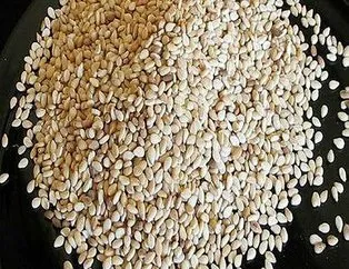 Yorgunluğa karşı susam