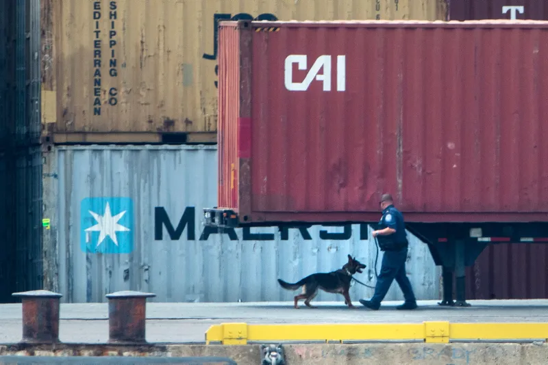 ABD'nin Pennsylvania eyaletinde değeri 1 milyar doları bulan 16,5 ton kokain ele geçirildi - 3
