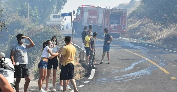 Son dakika: Bodrum'da makilik ve otluk alanda yangın