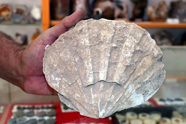 Kolye yapmak için dağda dolaşırken buldu! Tam 500 yıllık!-2