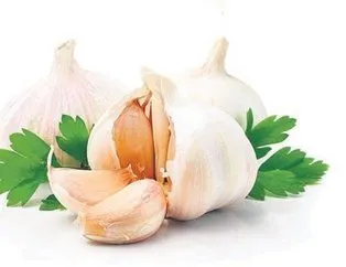 Pankreasa sarımsak