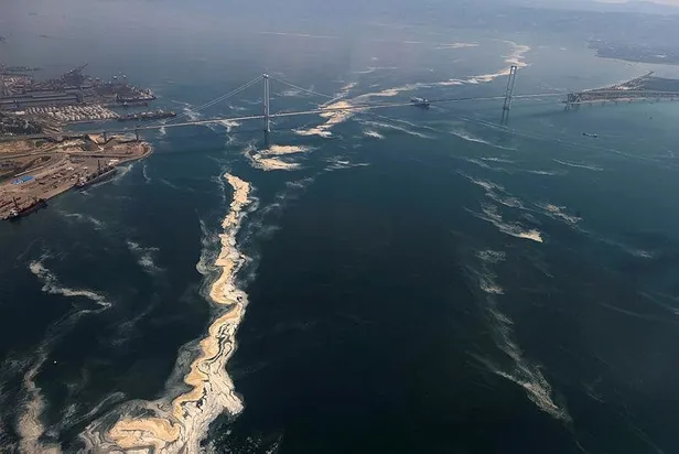 İBB AK Parti Grup Başkanvekili Tevfik Göksu duyurdu: İBB meclisinde müsilaj araştırma komisyonu kuruluyor!