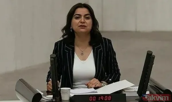 PKK'nın sözde sorumlusu Gülistan Tekik'in ağabeyi hangi DEM Partili çıktı? Habur'da bölücü eylem Batman'da küstah tehdit - 10