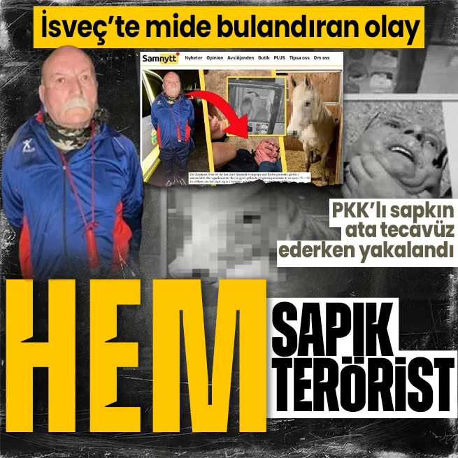 Hem sapık hem terörist | İsveçte mide bulandıran olay! PKKnın sözde Avrupa sorumlusu ata tecavüz ederken yakalandı