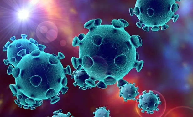 4-temmuz-korona-tablosu-corona-virus-vaka-iyilesen-ve-olum-sayisi-kac-oldu-son-durum-1593875439177.jpg 4 Temmuz korona tablosu: Corona virüs vaka, iyileşen ve ölüm sayısı kaç oldu? Son durum...-9